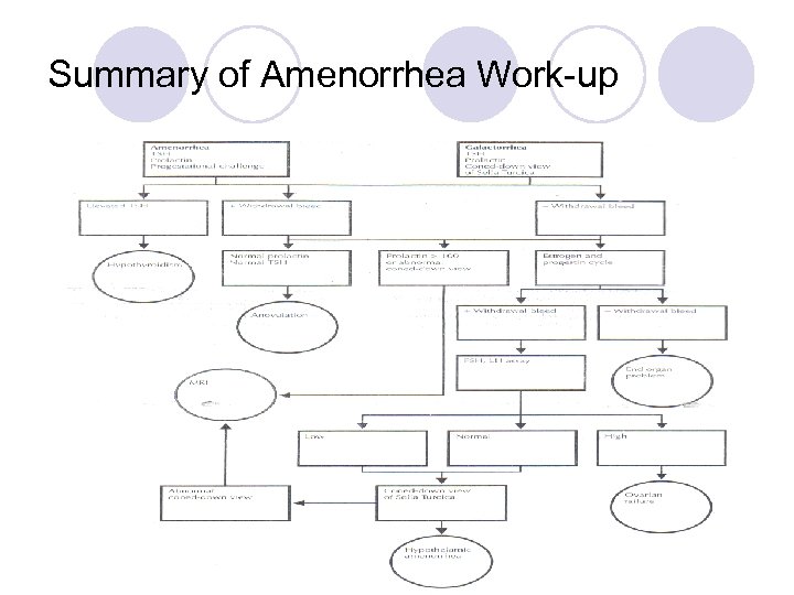 Summary of Amenorrhea Work-up 