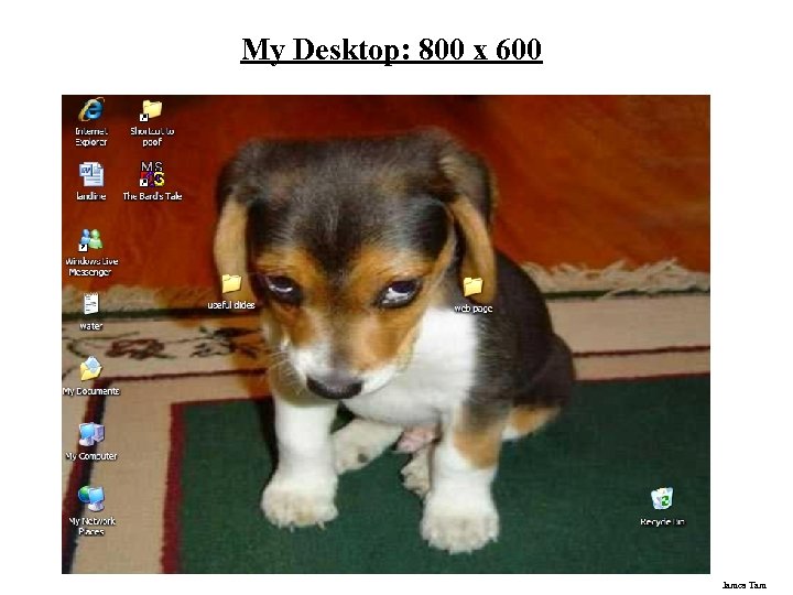 My Desktop: 800 x 600 James Tam 
