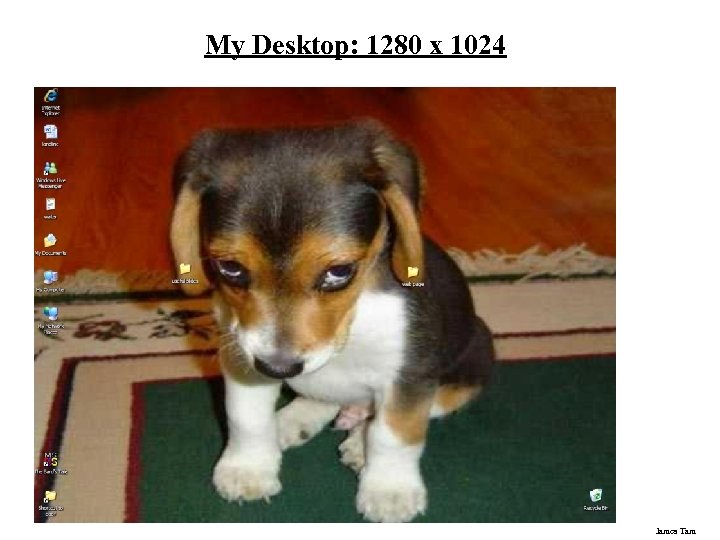 My Desktop: 1280 x 1024 James Tam 