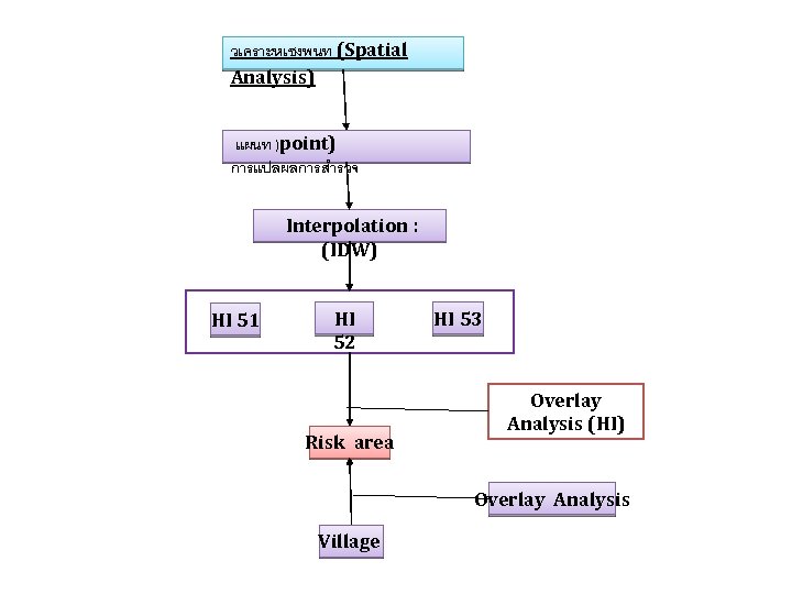 วเคราะหเชงพนท (Spatial Analysis) แผนท )point) การแปลผลการสำรวจ Interpolation : (IDW) HI 51 HI 52 Risk
