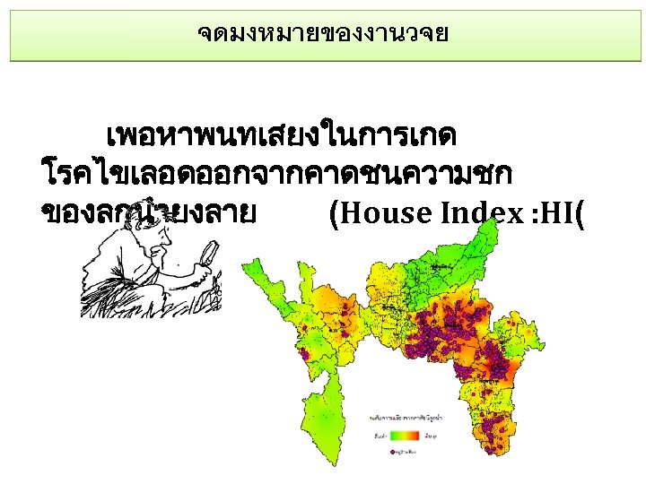 จดมงหมายของงานวจย เพอหาพนทเสยงในการเกด โรคไขเลอดออกจากคาดชนความชก ของลกนำยงลาย (House Index : HI( 