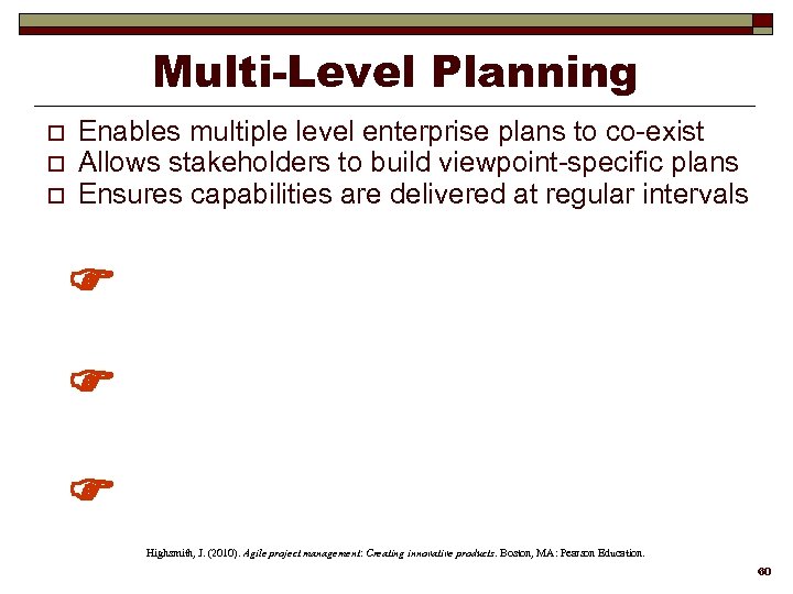 Multi-Level Planning o o o Enables multiple level enterprise plans to co-exist Allows stakeholders