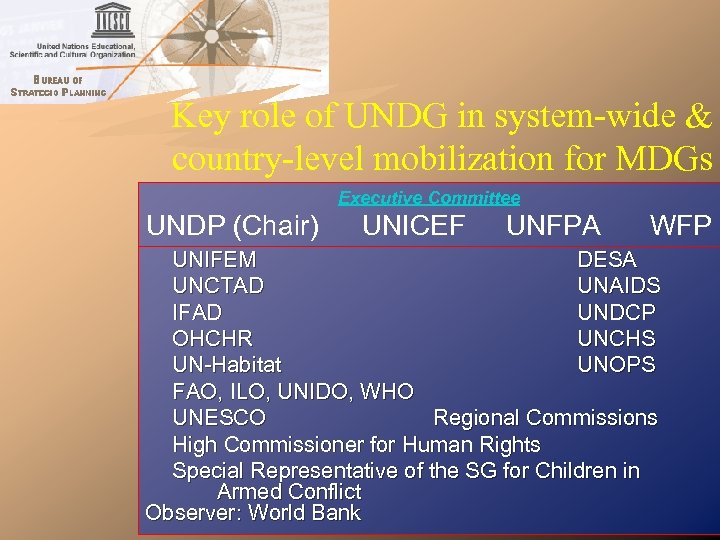 Key role of UNDG in system-wide & country-level mobilization for MDGs Executive Committee UNDP