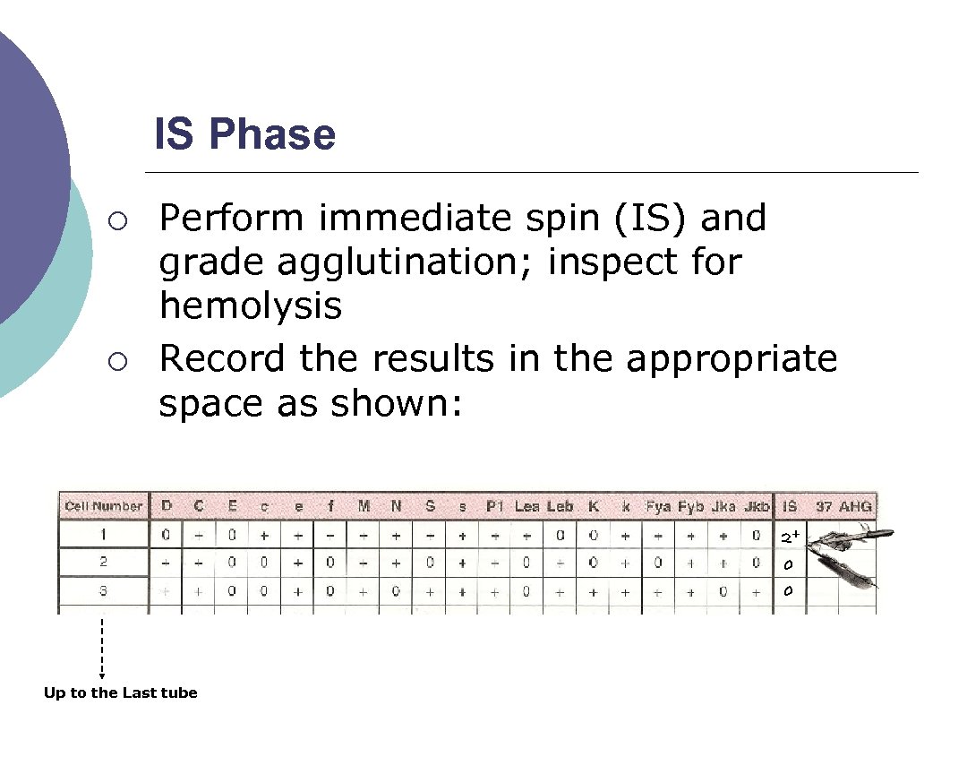 IS Phase ¡ ¡ Perform immediate spin (IS) and grade agglutination; inspect for hemolysis