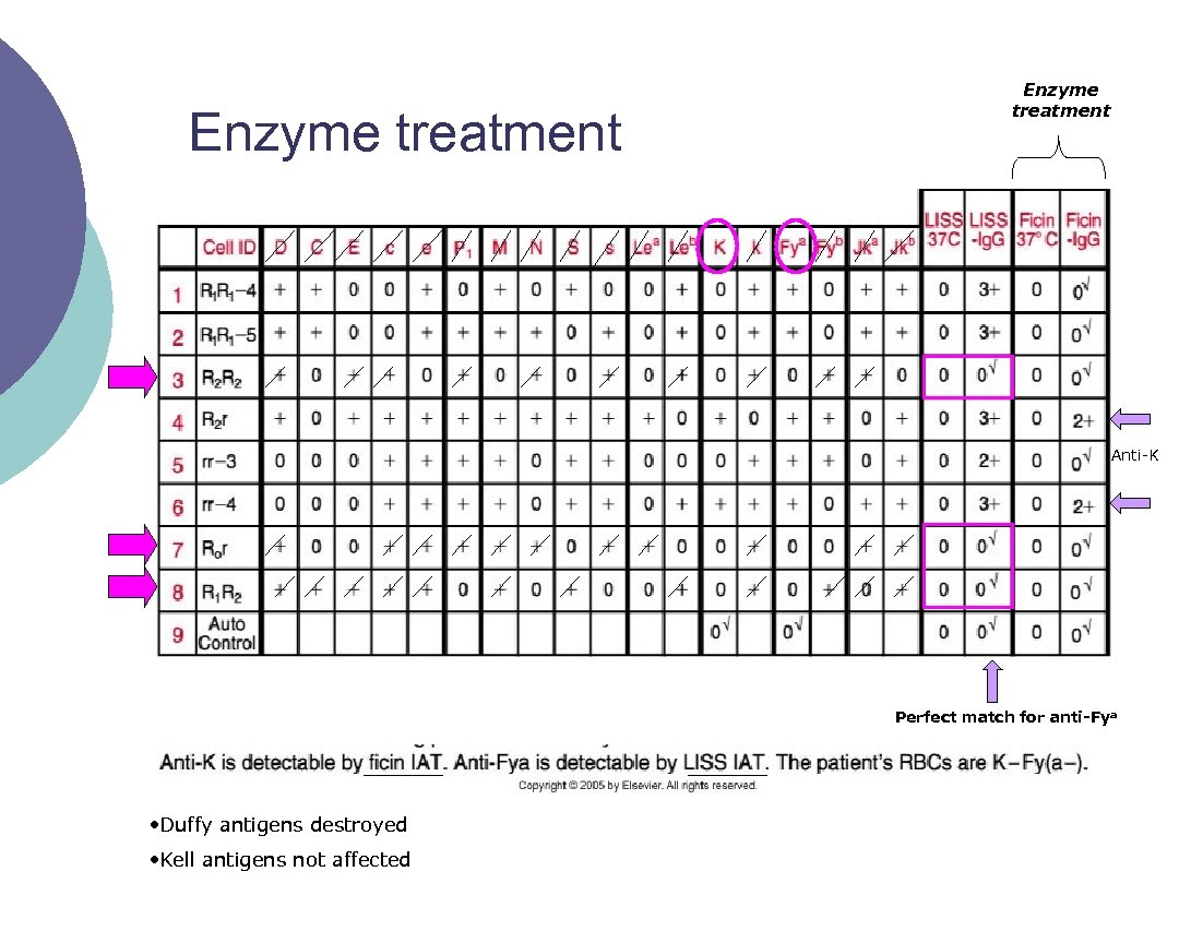 Enzyme treatment Anti K Perfect match for anti-Fya • Duffy antigens destroyed • Kell