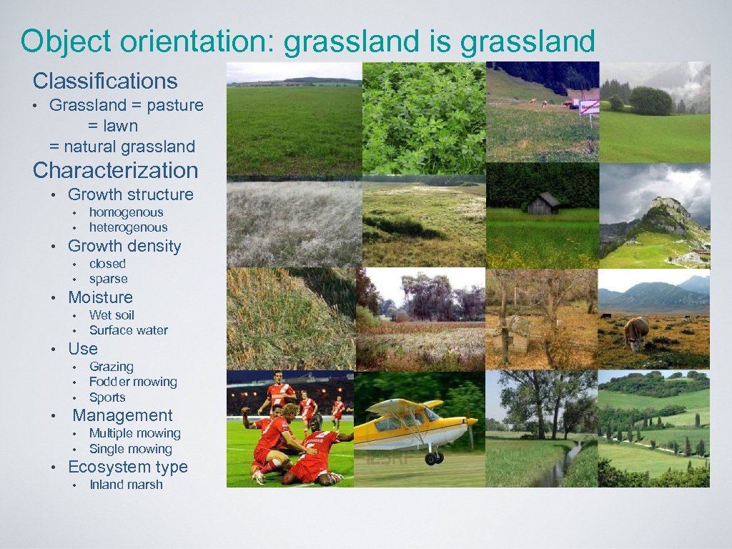 Object orientation: grassland is grassland Classifications • Grassland = pasture = lawn = natural