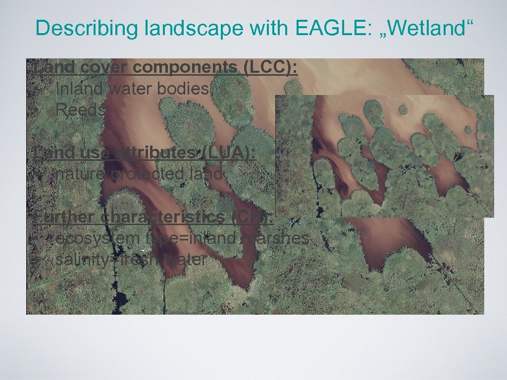 Describing landscape with EAGLE: „Wetland“ Land cover components (LCC): • Inland water bodies, •