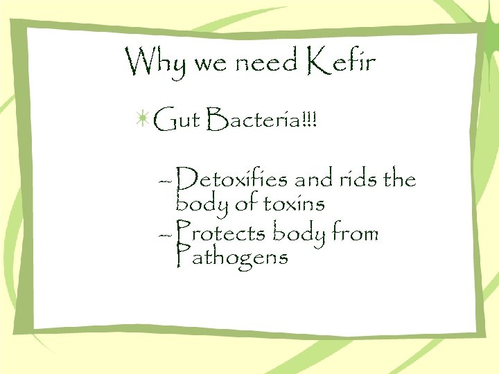 Why we need Kefir Gut Bacteria!!! – Detoxifies and rids the body of toxins