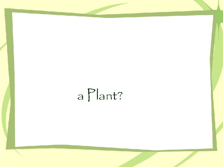 a Plant? 