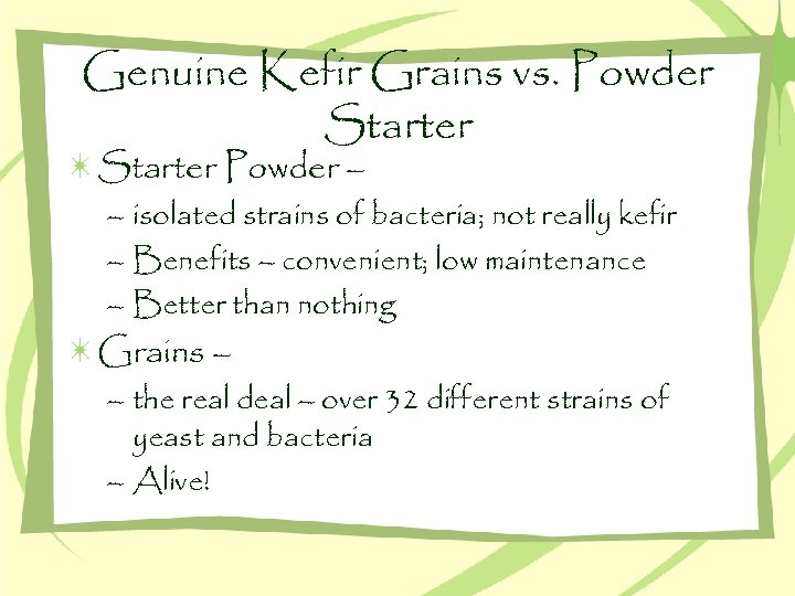 Genuine Kefir Grains vs. Powder Starter Powder – – isolated strains of bacteria; not