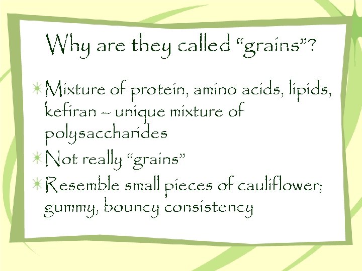 Why are they called “grains”? Mixture of protein, amino acids, lipids, kefiran – unique