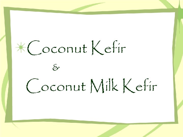 Coconut Kefir & Coconut Milk Kefir 