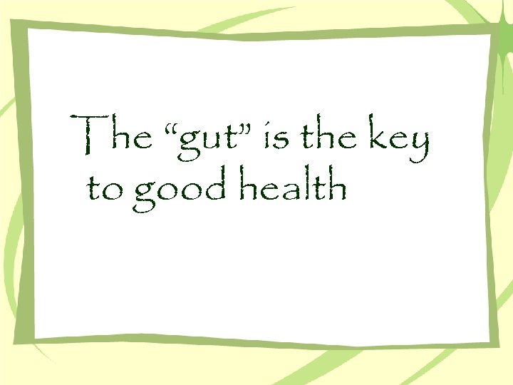 The “gut” is the key to good health 
