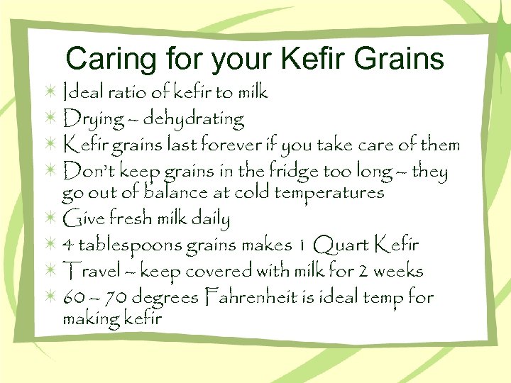 Caring for your Kefir Grains Ideal ratio of kefir to milk Drying – dehydrating