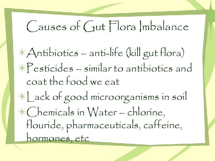 Causes of Gut Flora Imbalance Antibiotics – anti-life (kill gut flora) Pesticides – similar