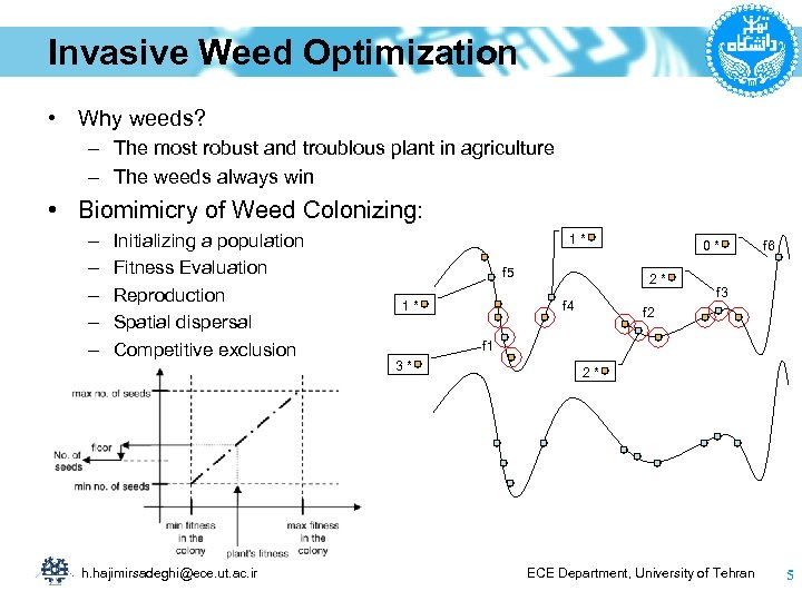 Invasive Weed Optimization • Why weeds? – The most robust and troublous plant in