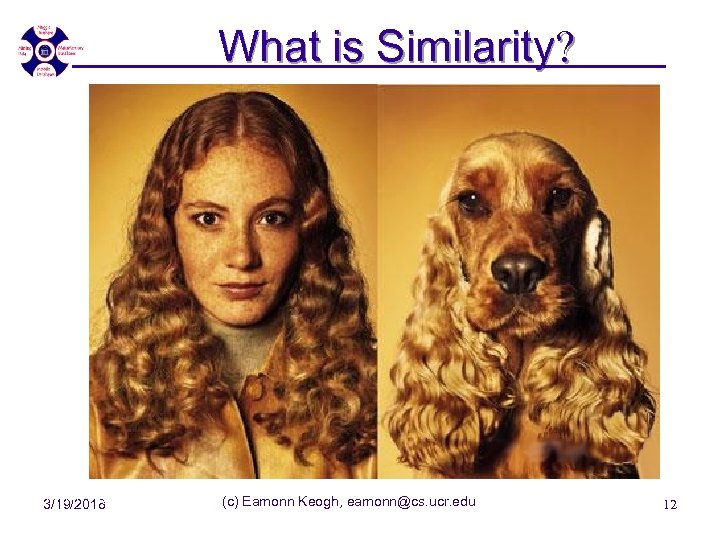 What is Similarity? 7/10/07 - SEDE'07 3/19/2018 (c) Eamonn Keogh, eamonn@cs. ucr. edu 12