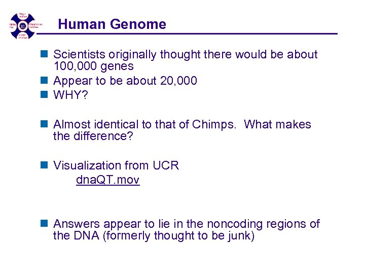 Human Genome n Scientists originally thought there would be about 100, 000 genes n