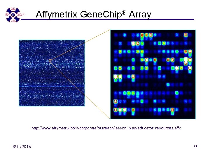 Affymetrix Gene. Chip® Array http: //www. affymetrix. com/corporate/outreach/lesson_plan/educator_resources. affx 7/10/07 - SEDE'07 3/19/2018 38