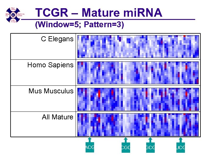 TCGR – Mature mi. RNA (Window=5; Pattern=3) C Elegans Homo Sapiens Musculus All Mature