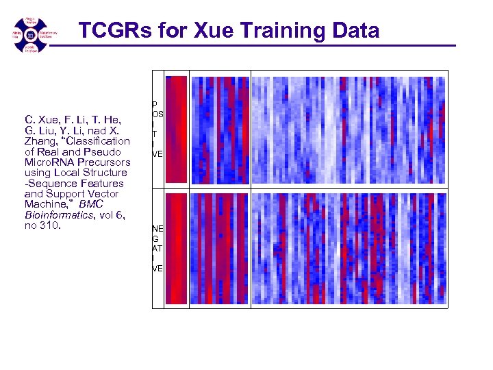 TCGRs for Xue Training Data C. Xue, F. Li, T. He, G. Liu, Y.