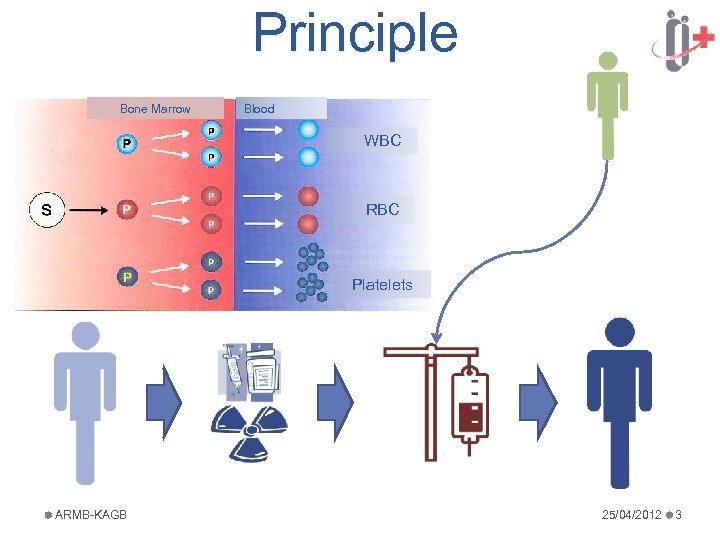 Principle Bone Marrow Blood WBC RBC Platelets ARMB-KAGB 25/04/2012 3 