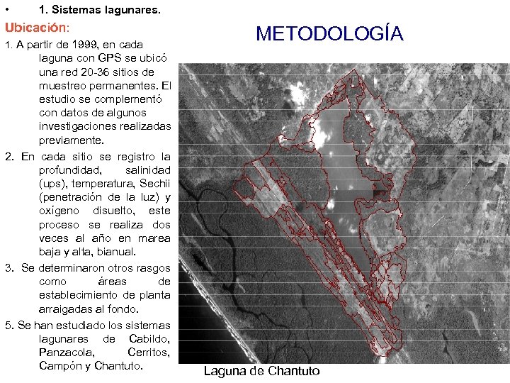  • 1. Sistemas lagunares. Ubicación: 1. A partir de 1999, en cada laguna