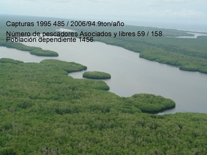Capturas 1995 485 / 2006/94. 9 ton/año Número de pescadores Asociados y libres 59