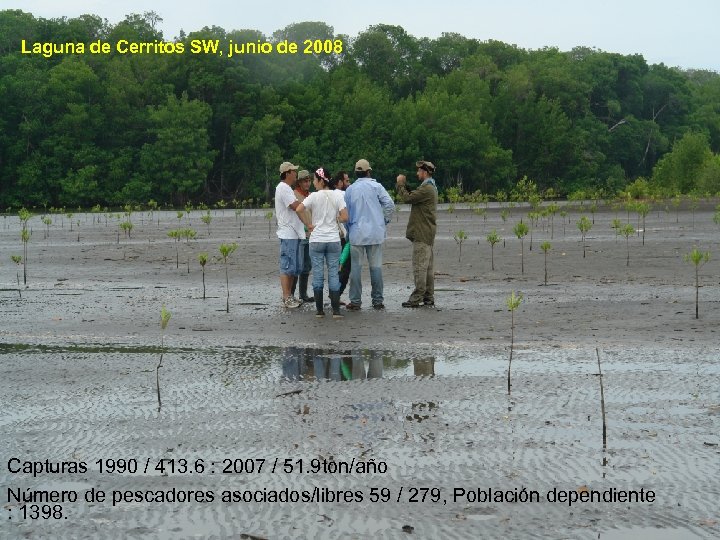 Laguna de Cerritos SW, junio de 2008 Capturas 1990 / 413. 6 : 2007