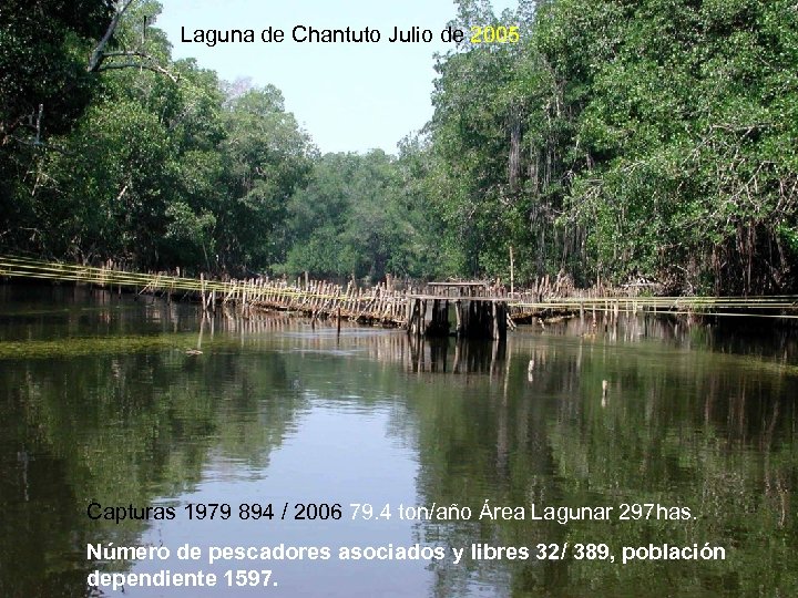 Laguna de Chantuto Julio de 2005 Capturas 1979 894 / 2006 79. 4 ton/año
