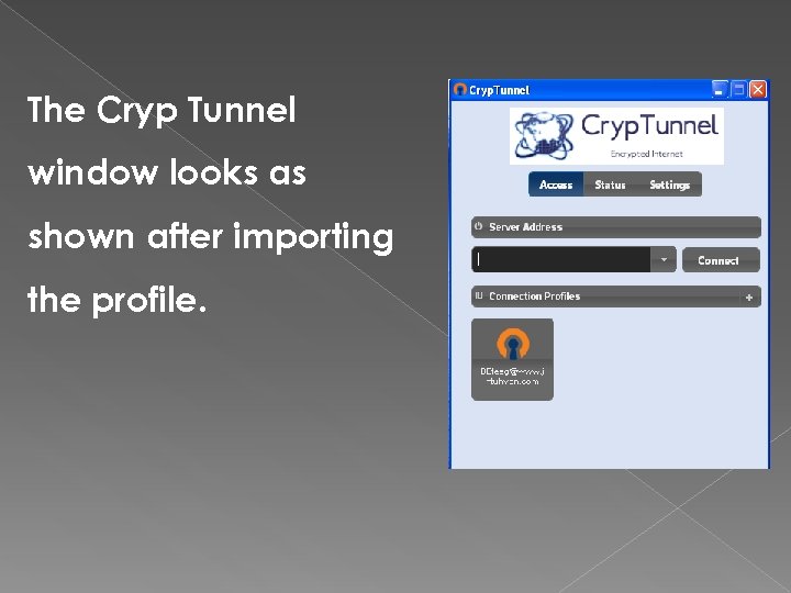 The Cryp Tunnel window looks as shown after importing the profile. 