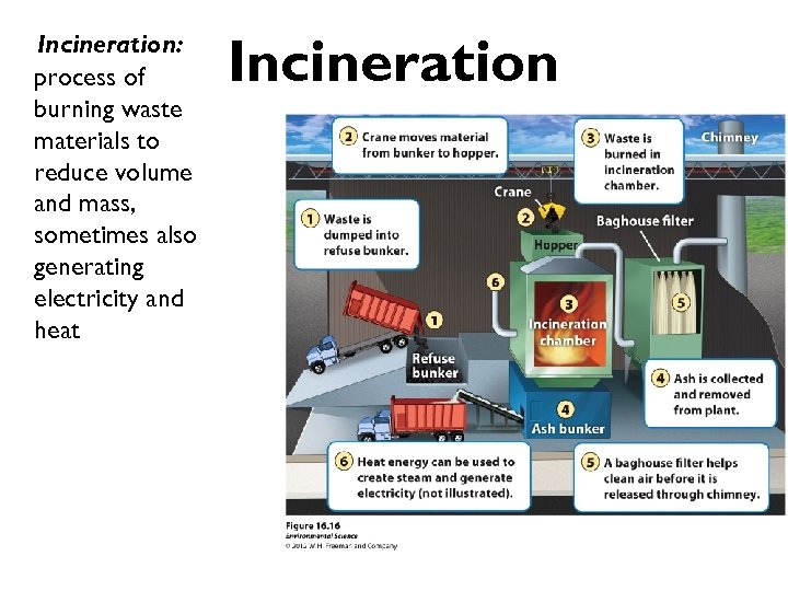 Incineration: process of burning waste materials to reduce volume and mass, sometimes also generating