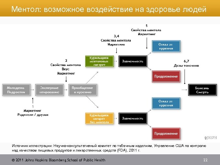 Ментол: возможное воздействие на здоровье людей Источник иллюстрации: Научно-консультативный комитет по табачным изделиям, Управление