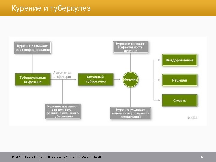 Курение и туберкулез 2011 Johns Hopkins Bloomberg School of Public Health 8 