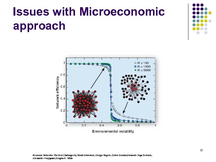 Issues with Microeconomic approach 17 Economic Networks: The New Challenges by Frank Schweitzer, Giorgio