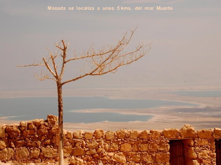 Masada se localiza a unos 5 kms. del mar Muerto 