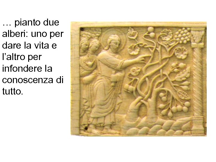 … pianto due alberi: uno per dare la vita e l’altro per infondere la