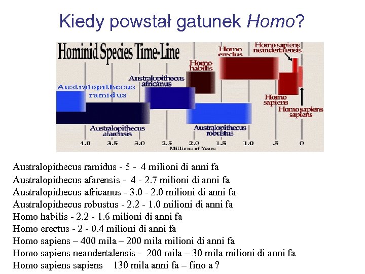 Kiedy powstał gatunek Homo? Australopithecus ramidus - 5 - 4 milioni di anni fa