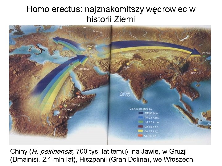 Homo erectus: najznakomitszy wędrowiec w historii Ziemi Chiny (H. pekinensis, 700 tys. lat temu)