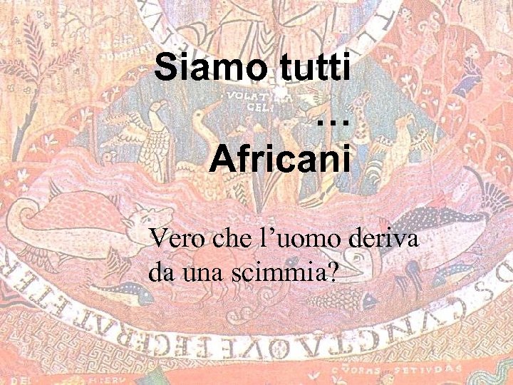 Siamo tutti … Africani Vero che l’uomo deriva da una scimmia? 