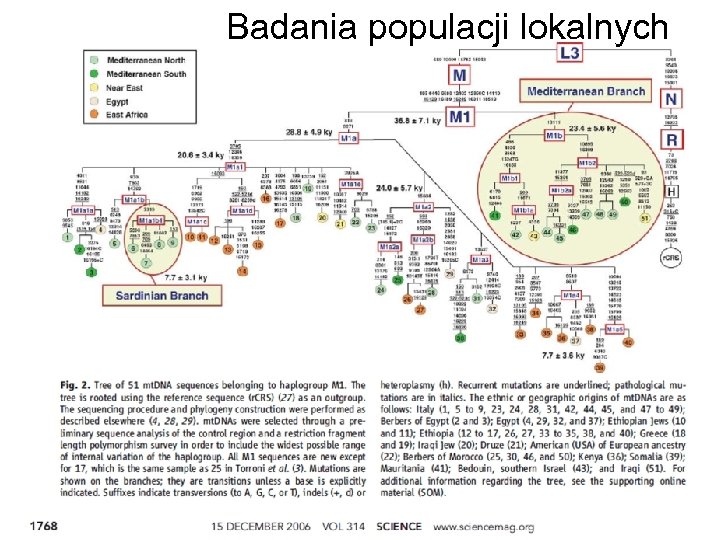 Badania populacji lokalnych 