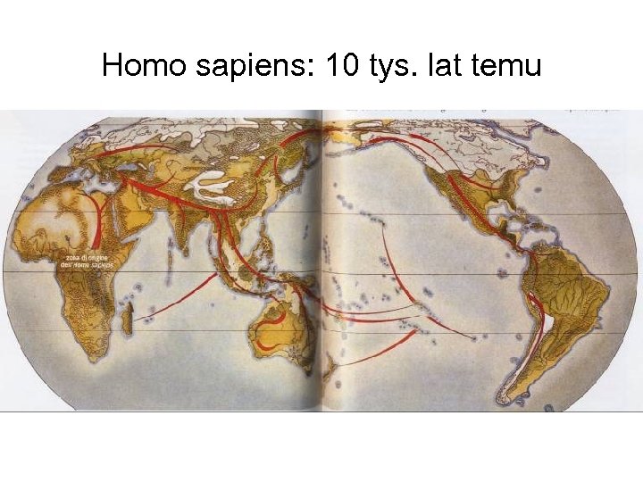 Homo sapiens: 10 tys. lat temu 