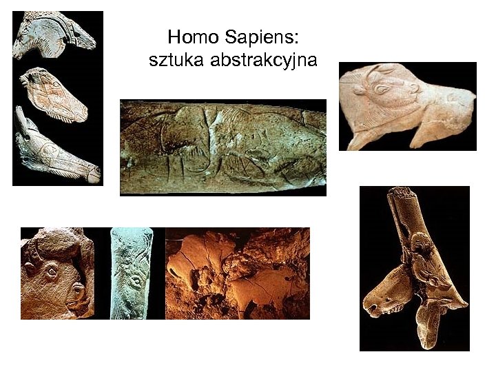 Homo Sapiens: sztuka abstrakcyjna 