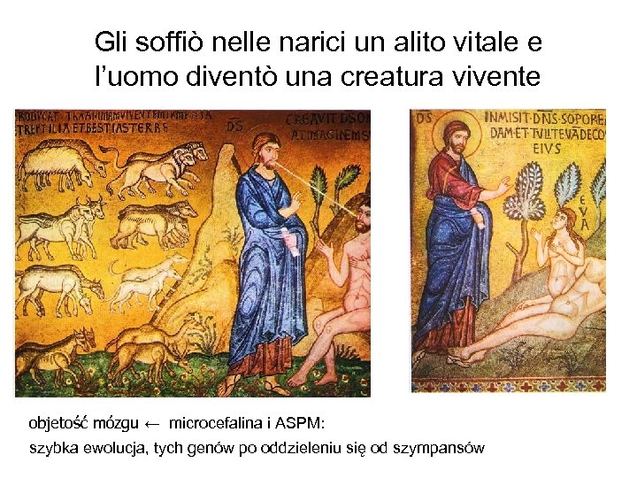 Gli soffiò nelle narici un alito vitale e l’uomo diventò una creatura vivente objetość