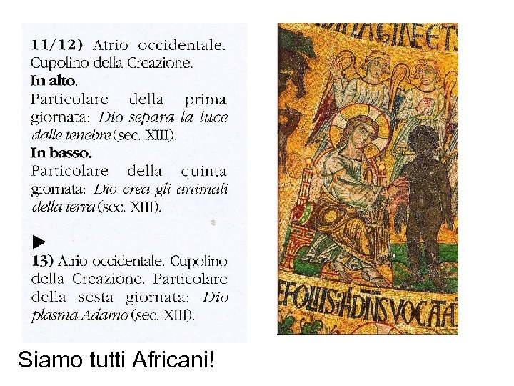 Siamo tutti Africani! 