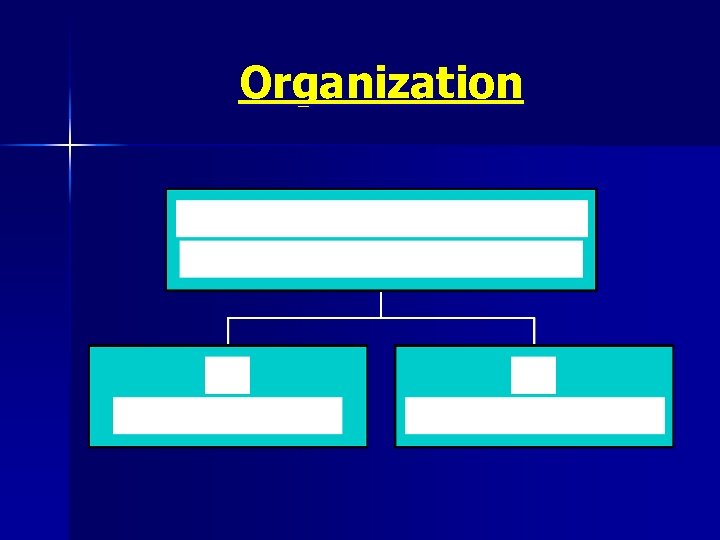 Organization 