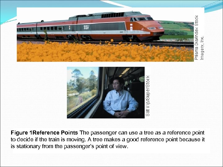 Figure 1 Reference Points The passenger can use a tree as a reference point