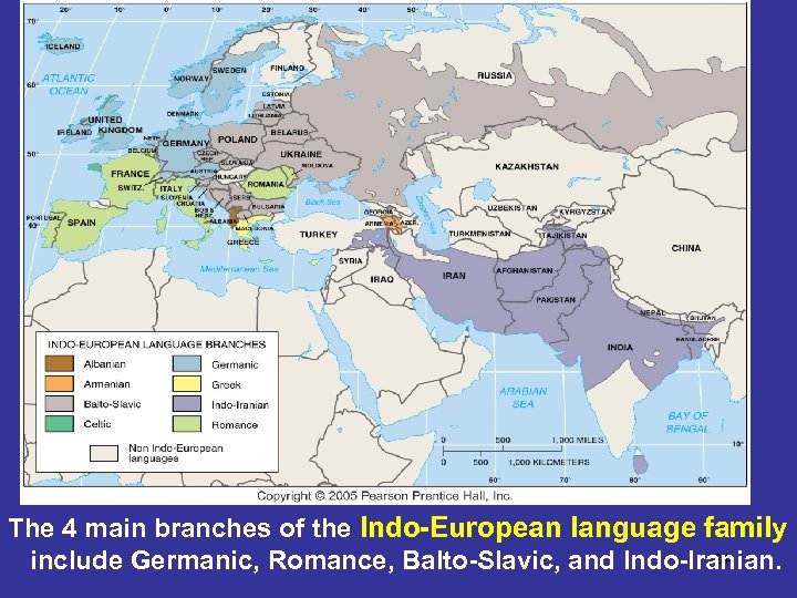 The 4 main branches of the Indo-European language family 24 include Germanic, Romance, Balto-Slavic,