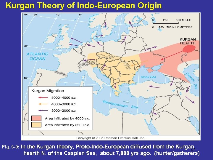 Kurgan Theory of Indo-European Origin Fig. 5 -9: In the Kurgan theory, Proto-Indo-European diffused