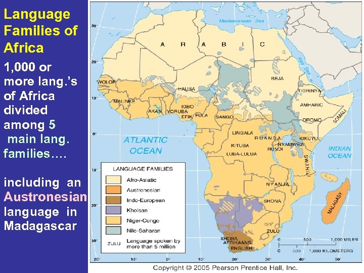 Language Families of Africa 1, 000 or more lang. ’s of Africa divided among